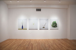 view of the show1